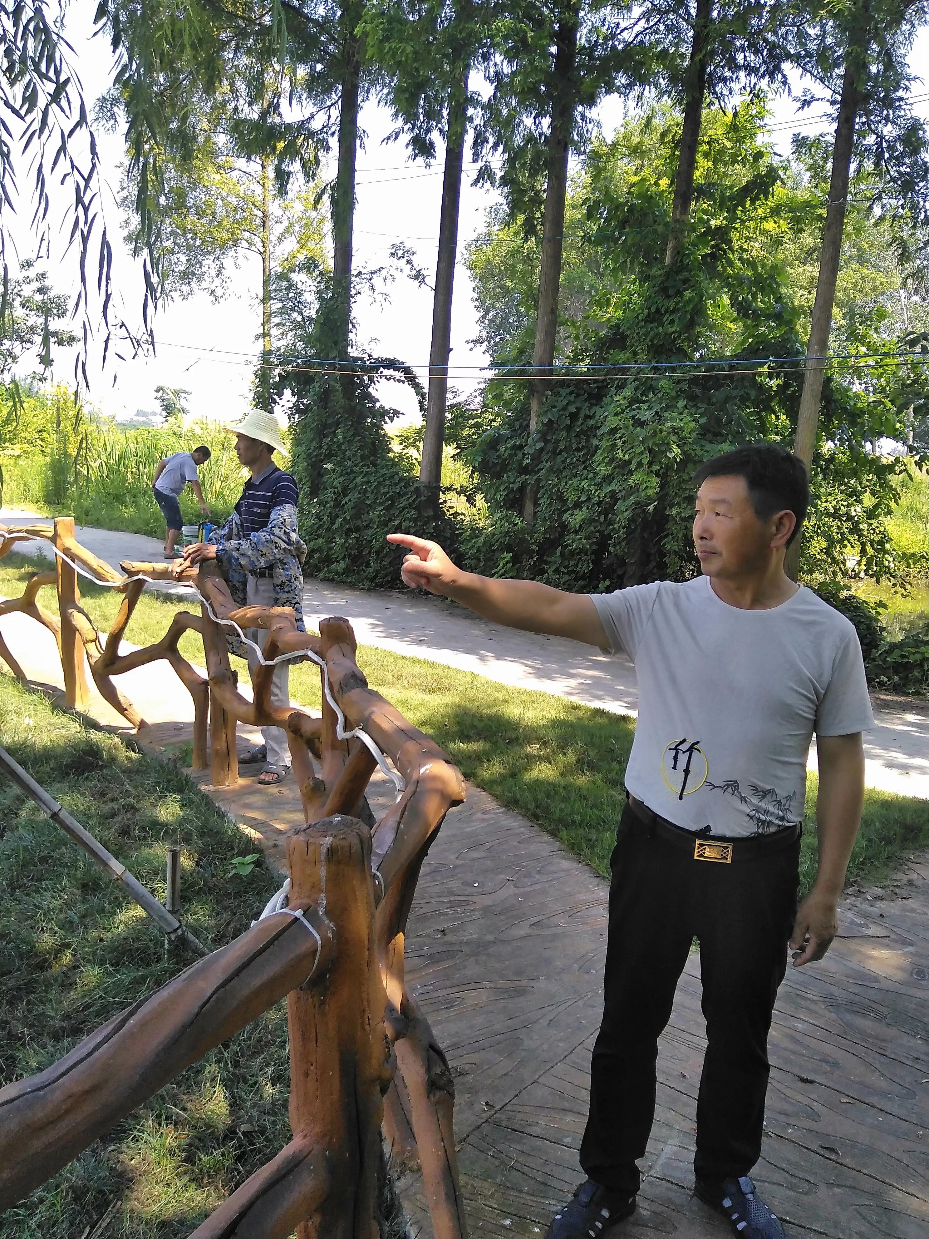 桥市镇柴湖村：化蛹为蝶不寻常