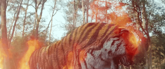 “没脸”见投资人的5部国产剧：《有翡》上榜，有的剧投入超6亿