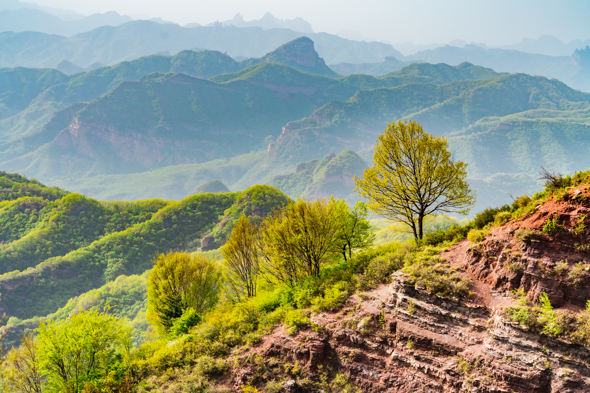 “数”说周公山，2条上山路、3个传说8道风景