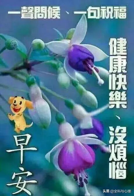 特别精美的清晨早安问候动态表情图片,早上好祝福语温馨句子