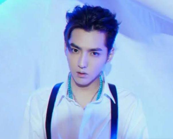 今天星品大赏红毯亮相，可谓众星云集，吴亦凡参加了杨紫为何没去