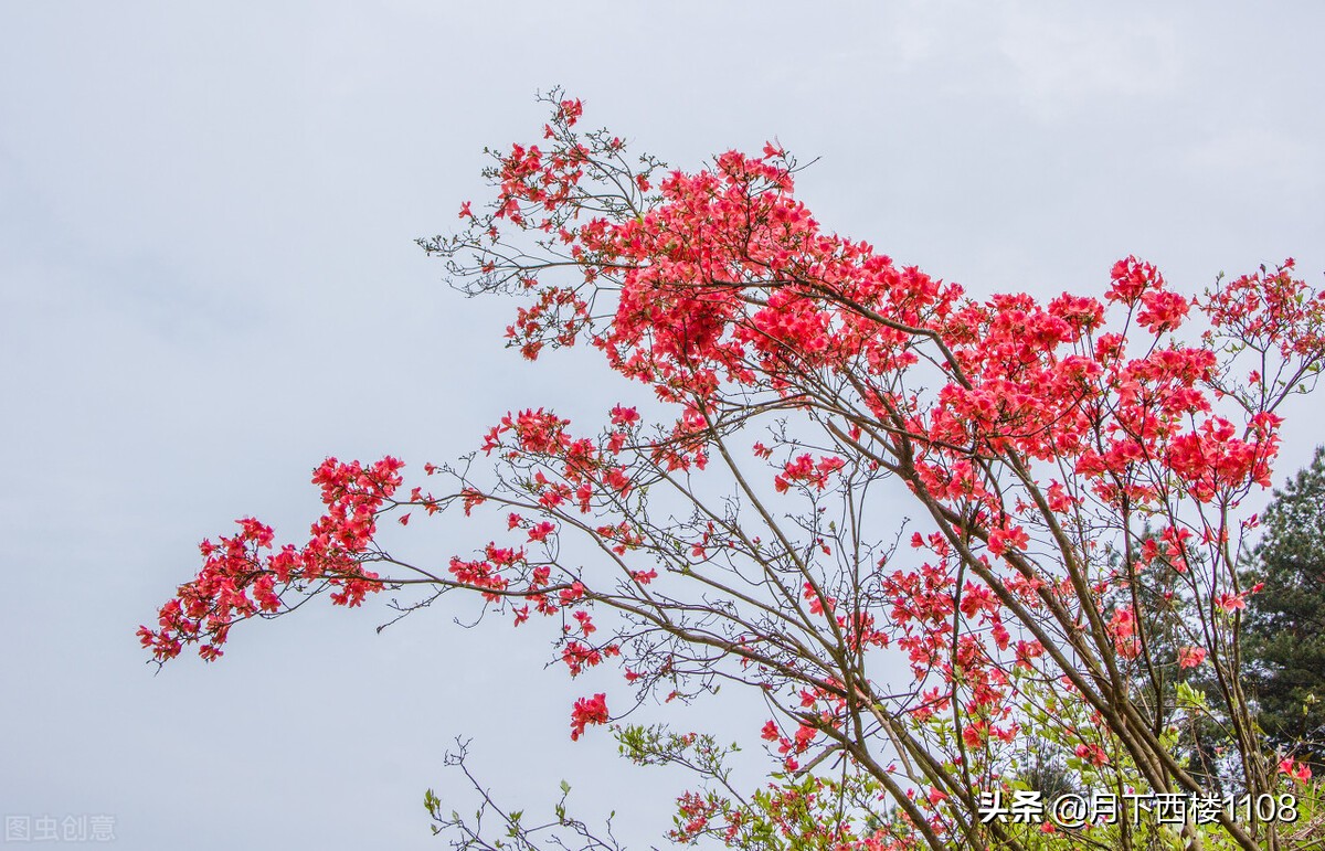 湖南常宁：又是一年春好景，美丽经济助力乡村振兴！