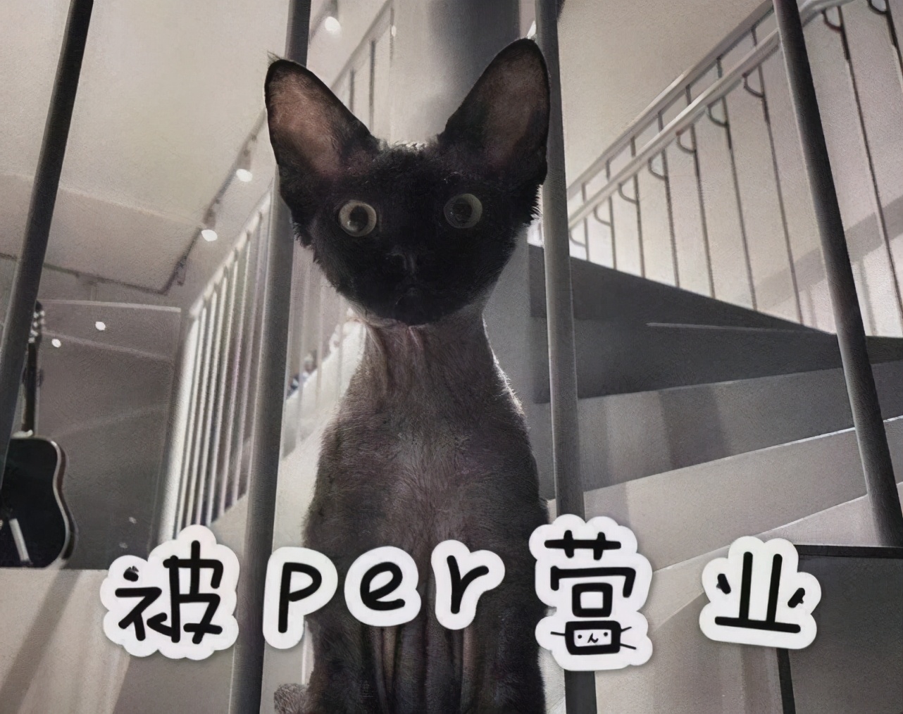 华晨宇张碧晨承认有女儿，名字曝光，网曝男方