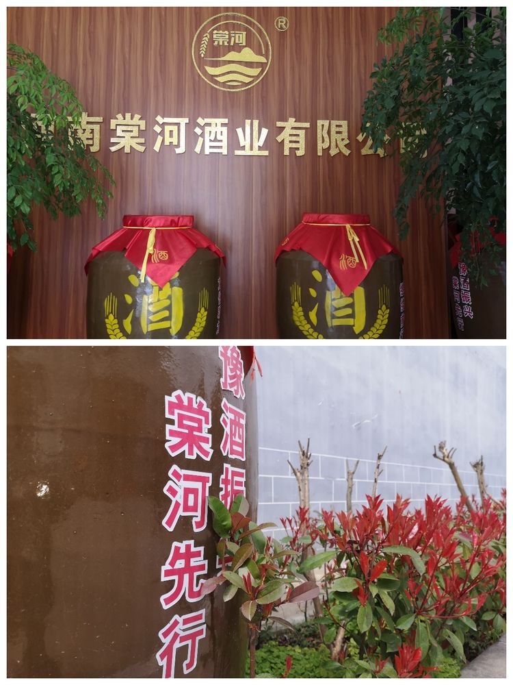 驻马店市社会组织发展促进会赴副会长单位棠河酒业开展采风交流