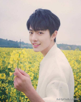 Interlocution of the Eight Diagrams: Contain of writing of ocean of Xiao Zhan, Wang Yuan, Xu art, Huang Zitao, Li Wen, gold, Li Ronghao