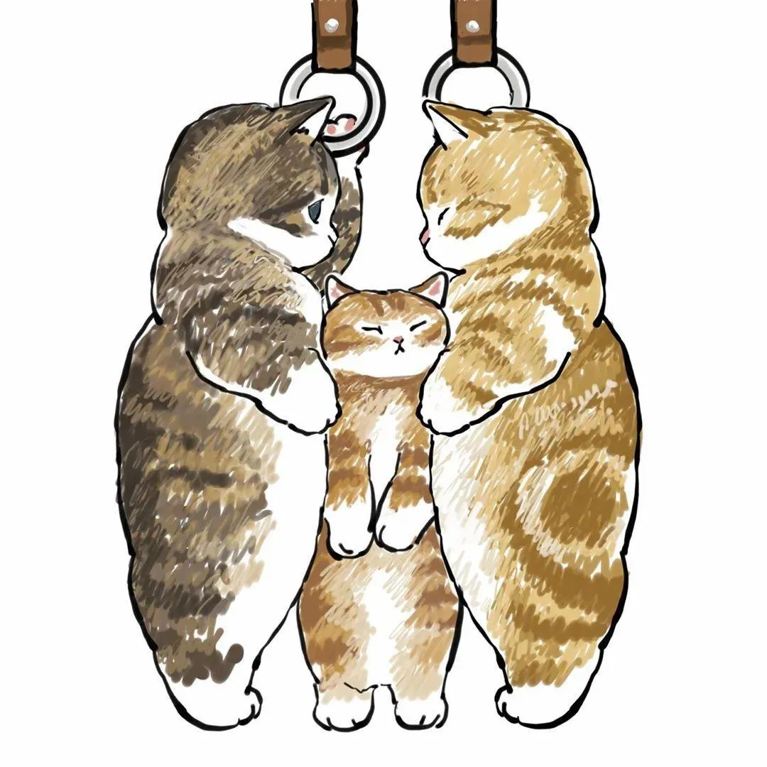 Twitter点赞量超4万的一组“猫片”,是不是像极了你自己?