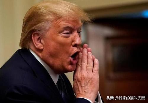 5月11日美国疫情速报，确诊近137万，死亡8万，假