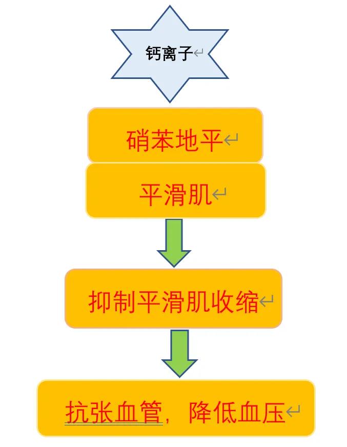 硝苯地平缓释片(Ⅰ) (Ⅱ) (Ⅲ)，有什么特点？这三兄弟如何区分？
