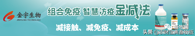 一年少打8針，組合免疫或成豬場防控非瘟的關(guān)鍵策略