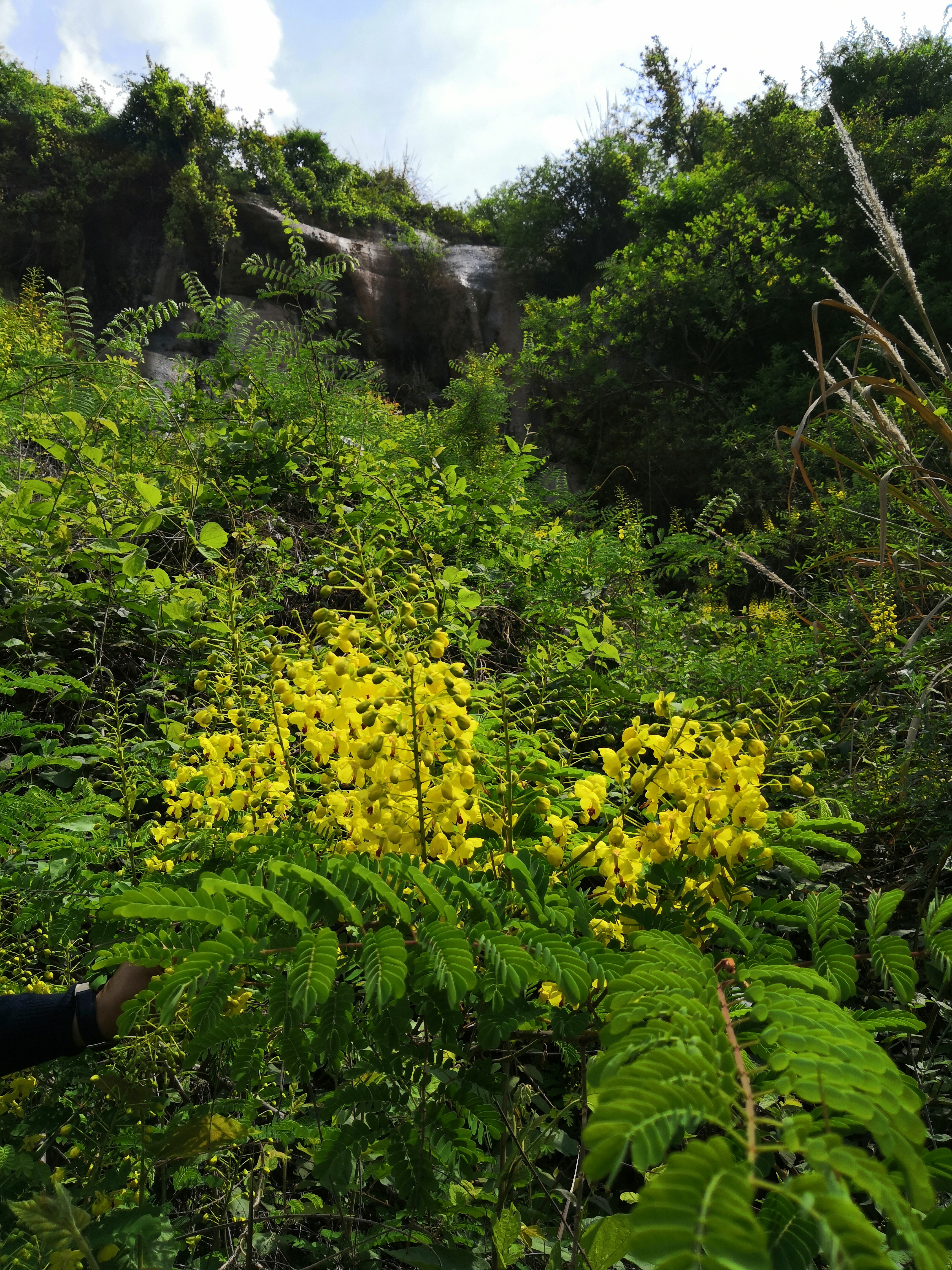 奉节县石岗乡一个山清水秀人杰地灵的地方，春天景色正美