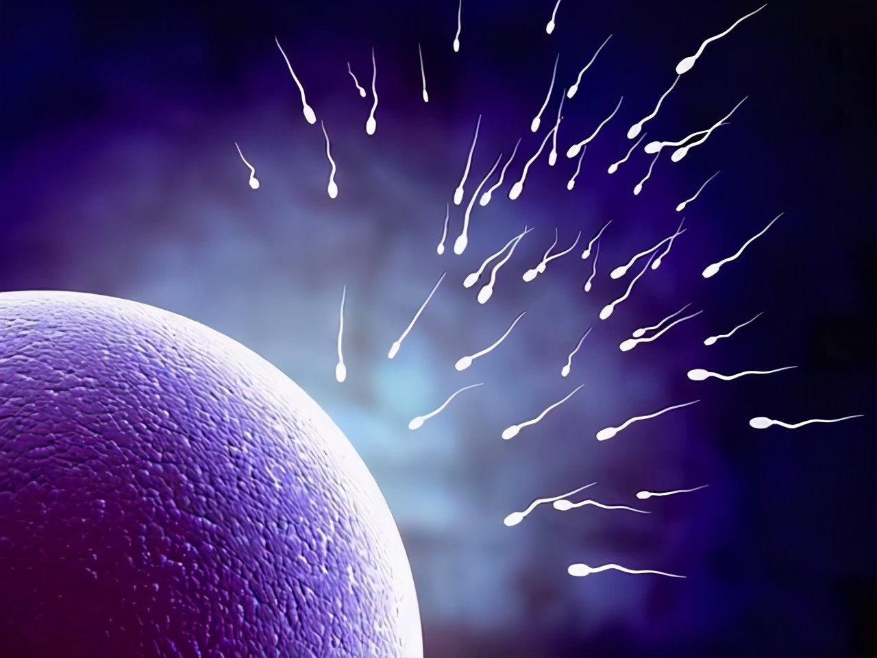 女人藏不住的秘密47 2 男性爱大胸 大胸生育能力怎么样 八戒说科学 Mdeditor