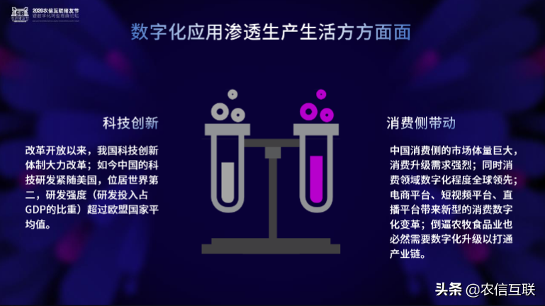 农信互联副总裁于莹：猪产业的涅槃重生 数字化