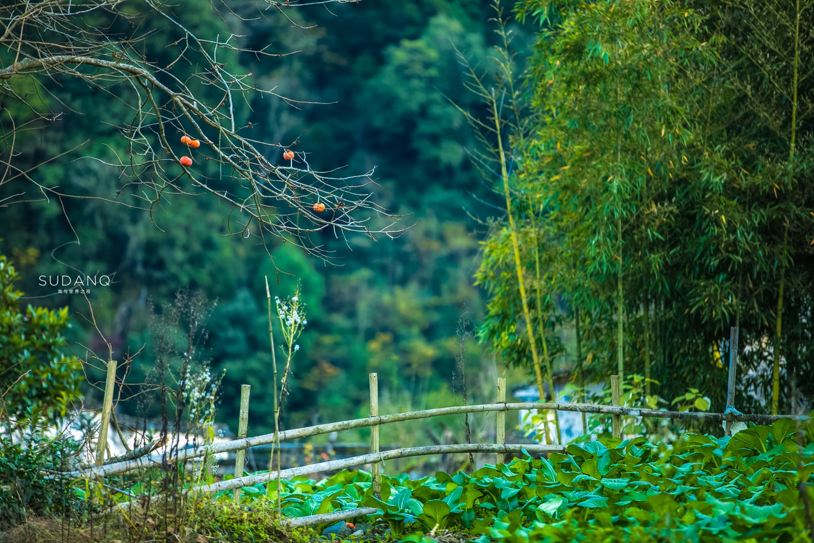 I've been obsessed with my life, I want to go to Huizhou: Recommend an ancient village that you have never heard of