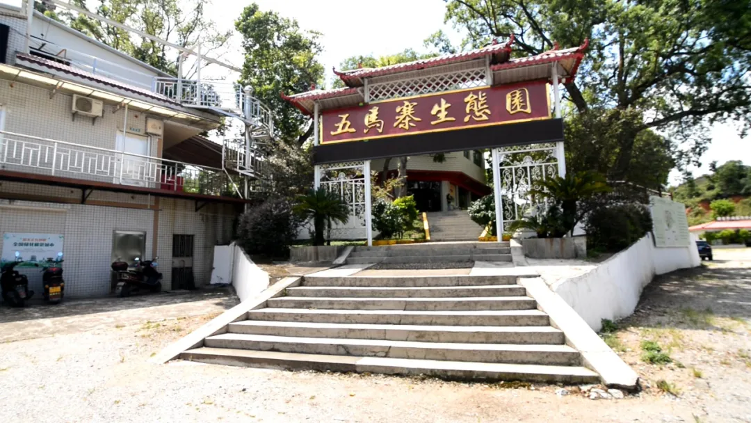 仁爱仁化：创建全国县级文明城市 新时代文明实践在行动——景区篇