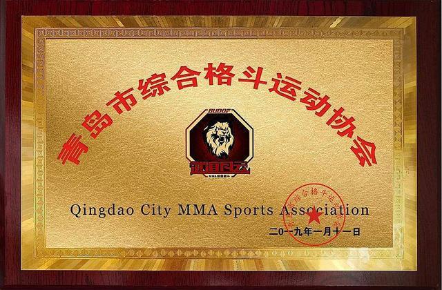 青岛武道风云：青少年游泳格斗暑期夏令营火热招募中