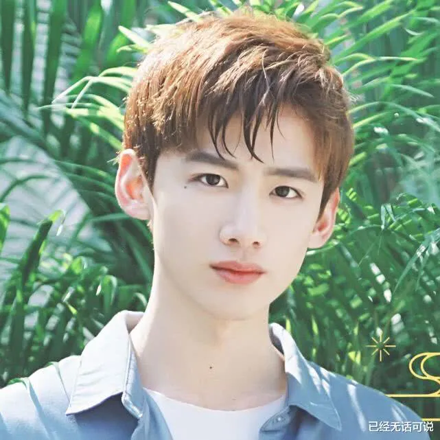 名字出自诗歌的4位明星，林更新白敬亭还好，看