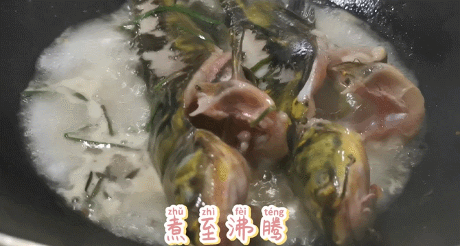 昂刺鱼的做法 昂刺鱼汤