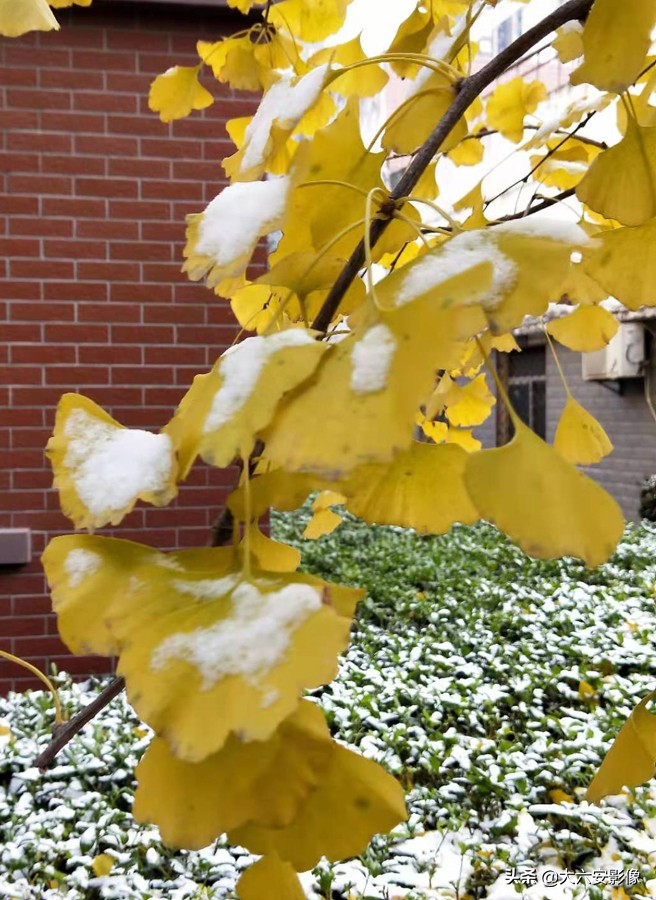 6 how: Heavy snow flies violently greet New Year, the Xue Jingtai in cameraman camera lens is beautiful