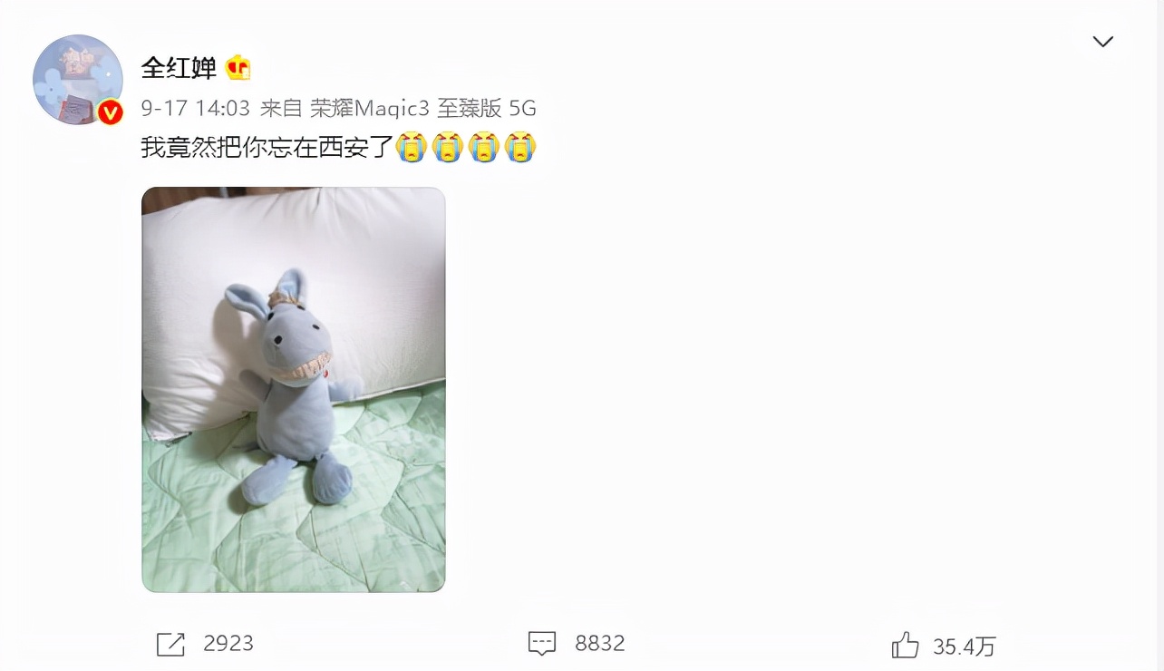 离开全运会后，全红婵为何音信全无？师姐无意揭秘，杏哥实属无奈