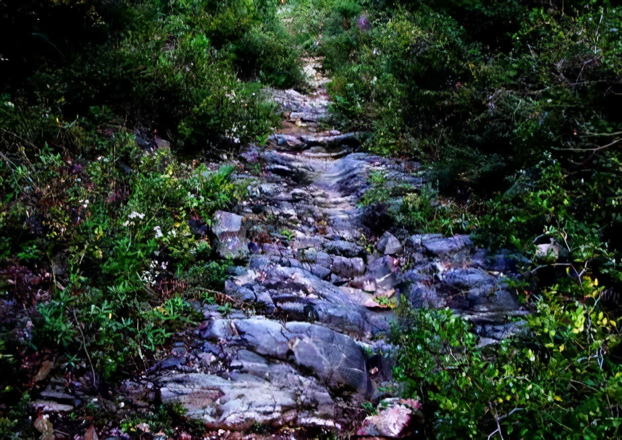 伯樂相馬探究之一 何為伯樂 唐耀坤文集 Mdeditor