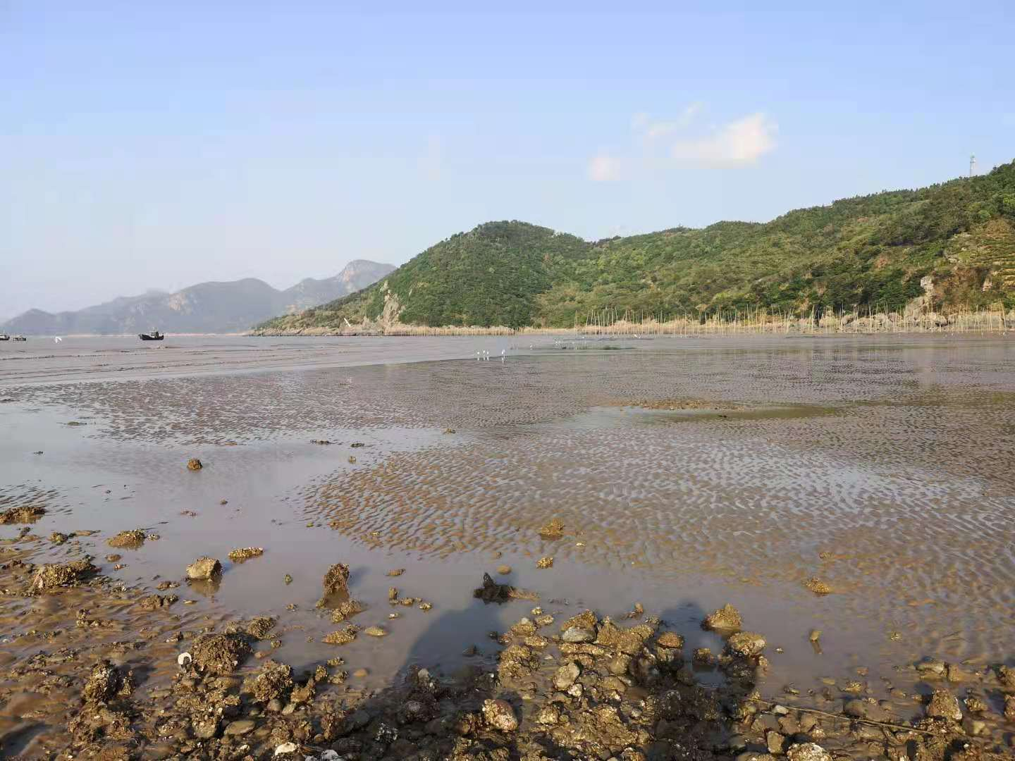 我们的霞浦路线图：光影栈道、东壁、杨家溪、赤溪、S弯、下尾岛