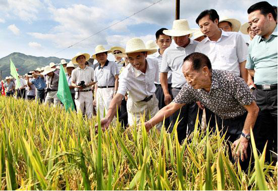 91岁袁隆平去世，5分钟回顾“杂交水稻之父”的一生-第8张图片-大千世界