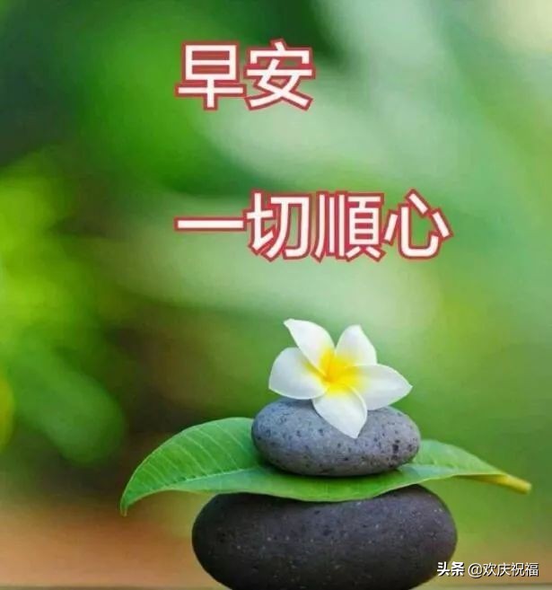 早上好图片大全 最新图片图片