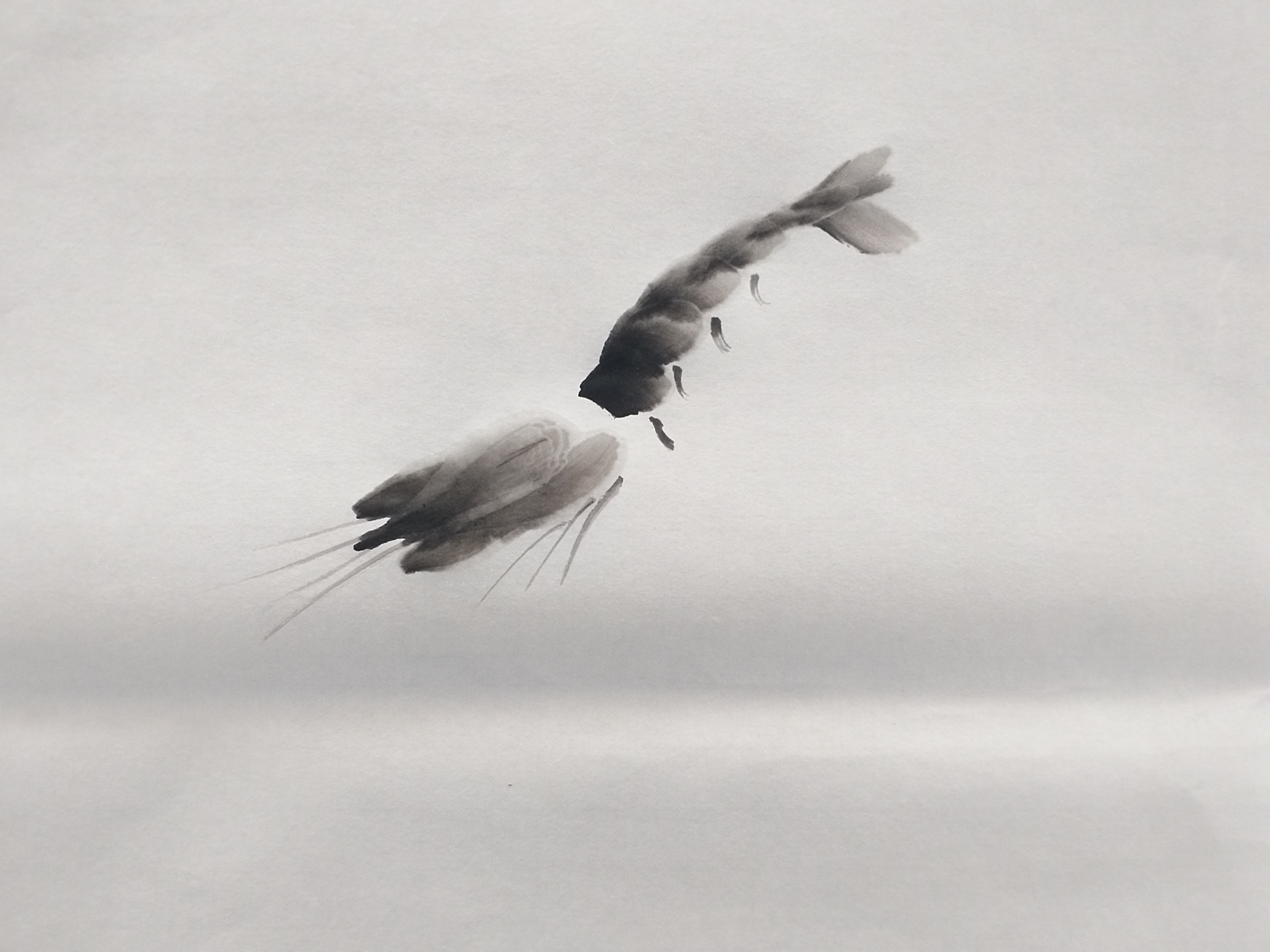 齐白石画虾的详细分解步骤图，喜欢写意画的朋友收藏了