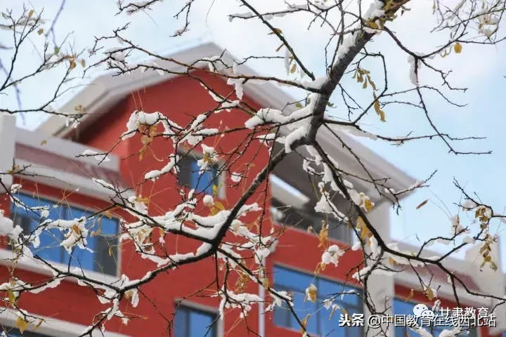甘肃初雪|甘肃18所高校初学雪景大PK,快来看看有你的母校没?