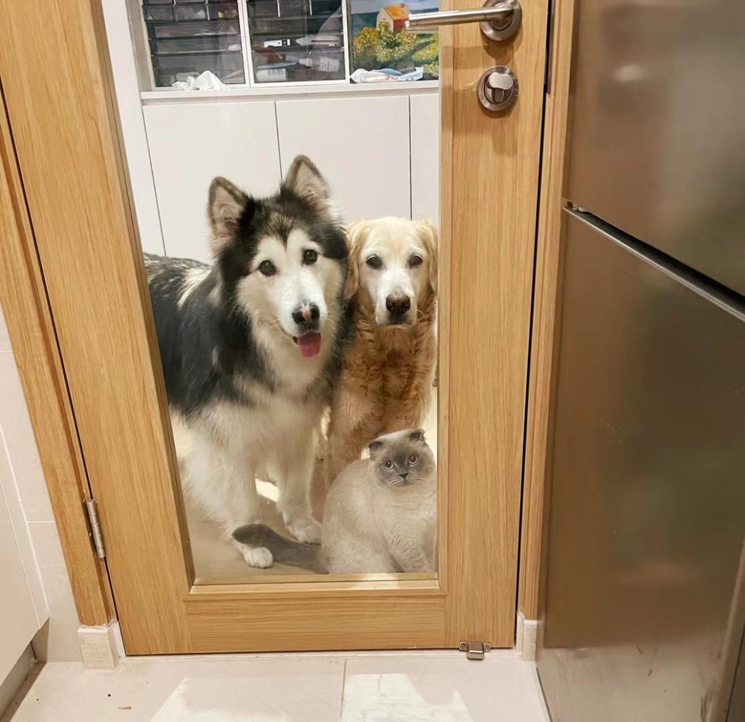 һ��è�����롰����ʱ����
