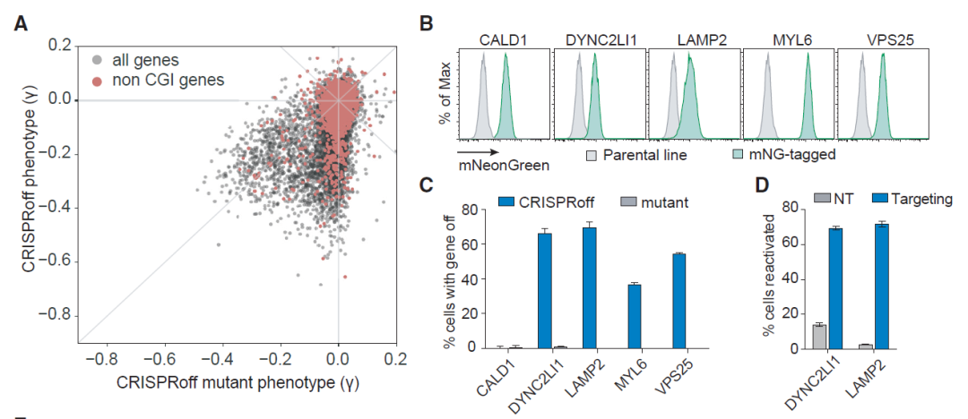 給CRISPR加上開關！通過表觀遺傳操控基因表達