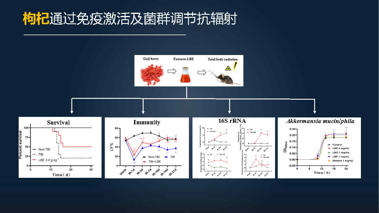 马百平：20分钟详解从有效成分到肠道菌群，中药如何突破？