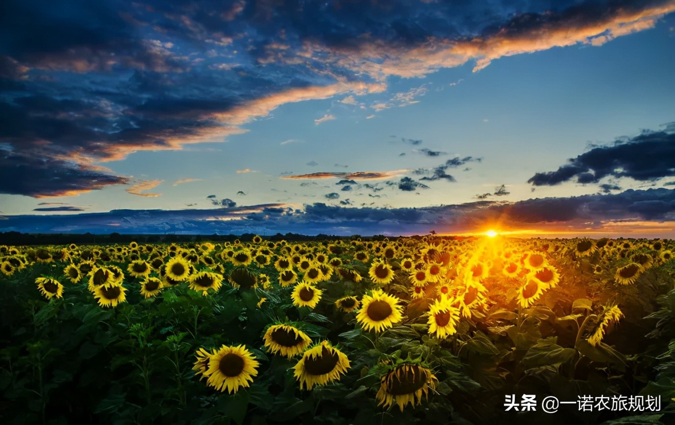 關(guān)于鄉(xiāng)村旅游用地政策，這8件事一定要知道