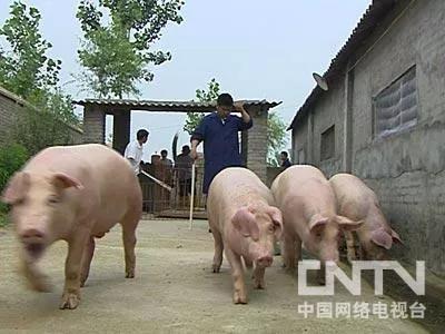 两个光棍创业的故事