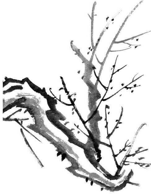 零基础国画入门详细讲解梅花的五种画法手把手教画简单易学