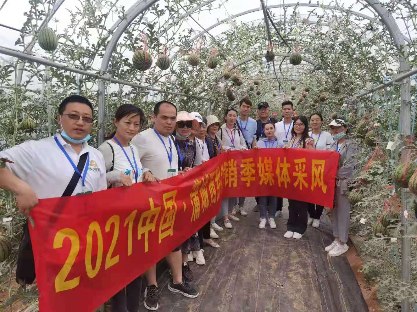 2021中国•蒲城西甜瓜营销季开幕 蒲城西瓜瓤瓤上口远销全国各地