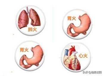 健康知识普及行动系列科普知识讲座之中医中药篇（二）