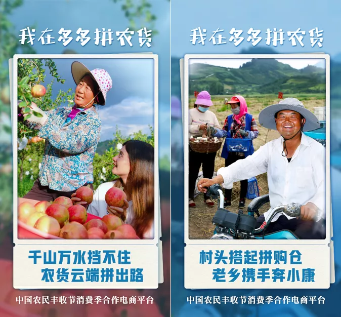 拼多多年度活躍買家創(chuàng)單季最大增長(zhǎng)，高頻為百億補(bǔ)貼效率“換擋”