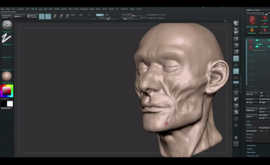 教学｜比较难的人体构造建模，用zbrush构建脸部肌肉和五官