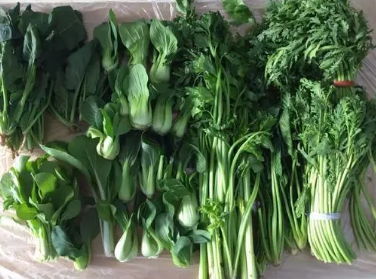 別再給孩子吃�甲醛菜�，用開水都很難洗乾淨，對孩子健康沒好處