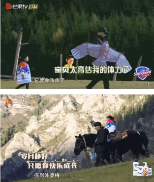 应采儿官宣生二胎，陈小春幸福洋溢透露性别，还是男孩？