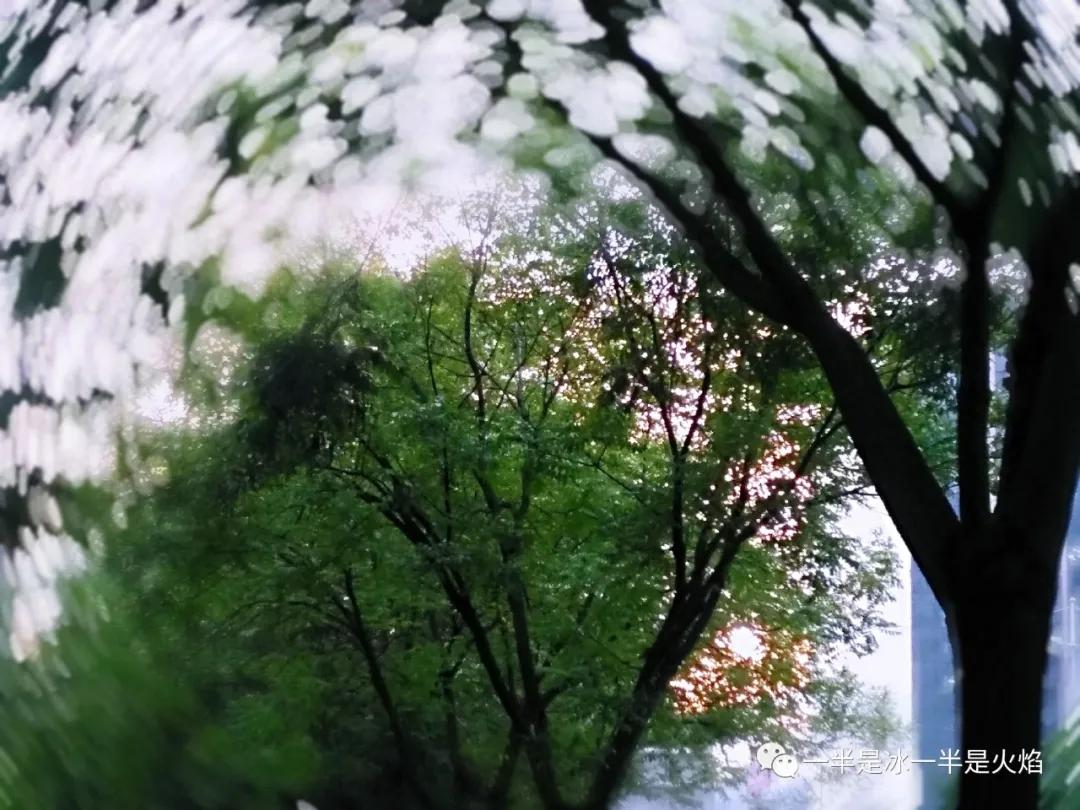 随笔:你那里下雨了吗-第5张图片-非凡网 随笔:你那里下雨了吗-第5张图片-非凡网