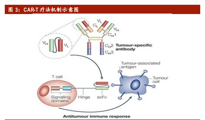 医药行业深度报告：拥抱生物医药第三次革命，基因治疗根基稳固