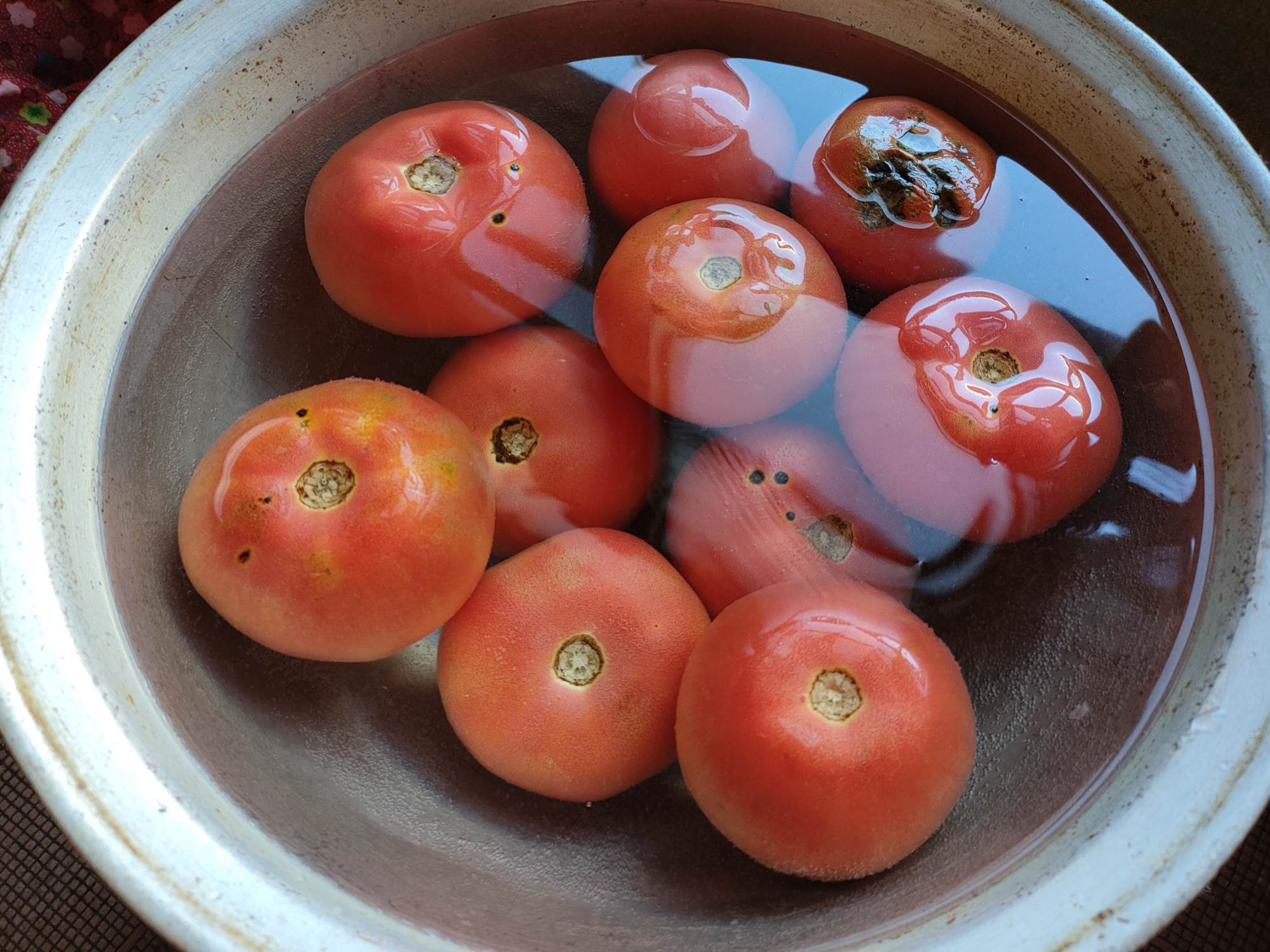 新鲜的西红柿这样储存，放到冬天都不会坏，老一辈的做法真不错