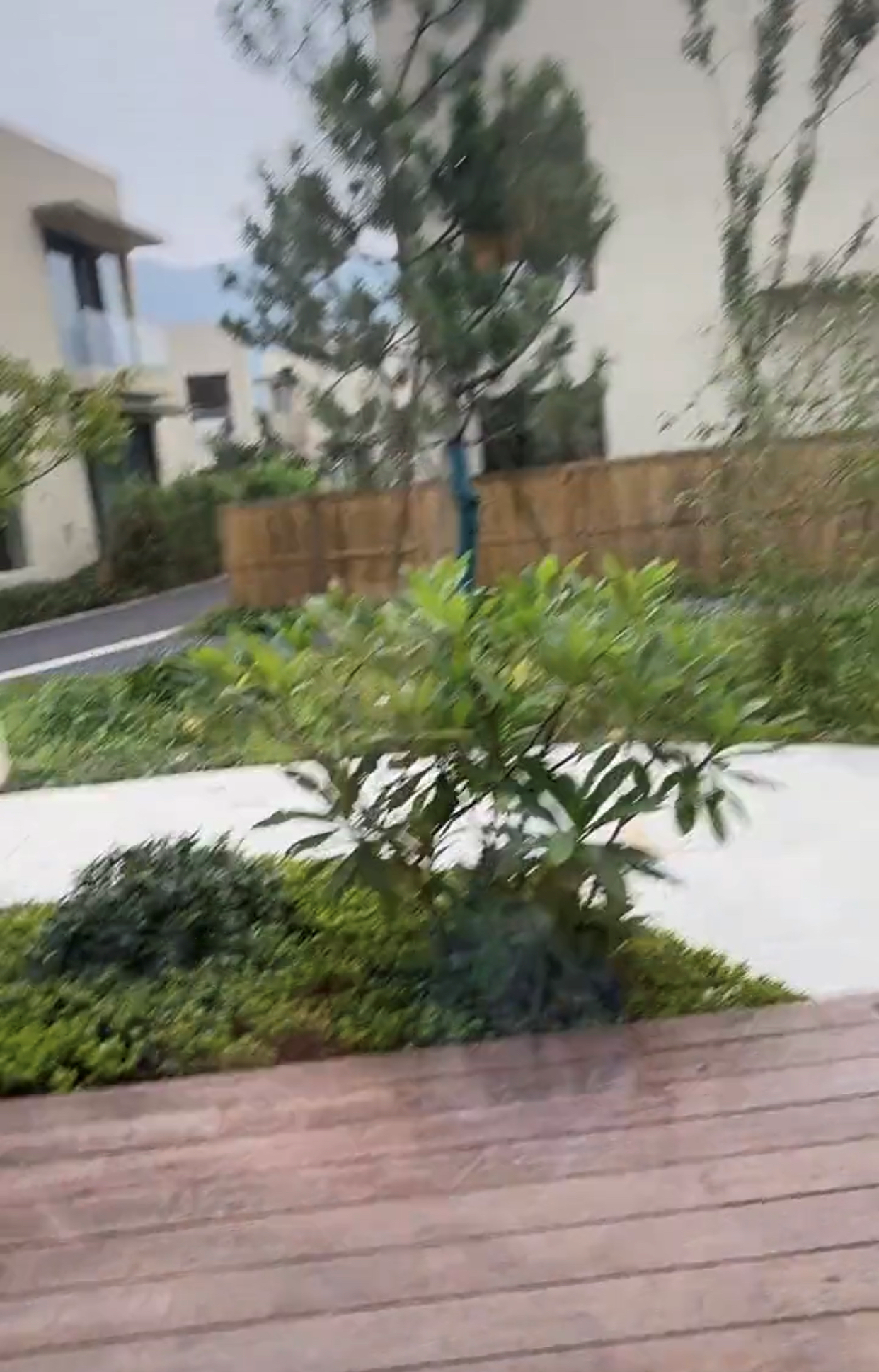 44岁涂磊隐退后仍潇洒！晒豪华别墅惹争议，疑开百万豪车生活滋润