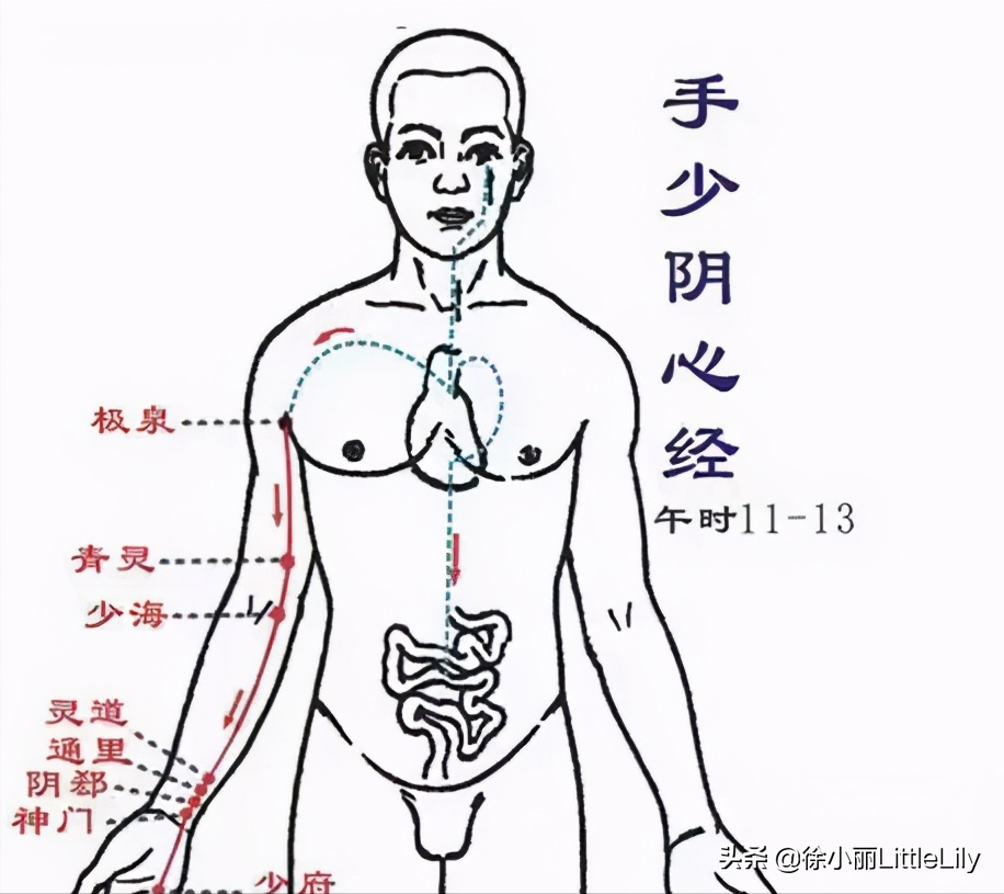 看故事快速记忆“十二经络及穴位”