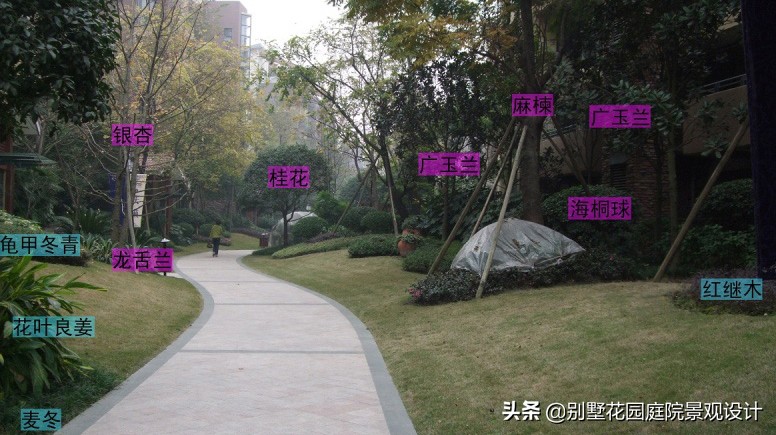 別墅庭院常用植物分享，附照片及名字標(biāo)注（珍藏版）