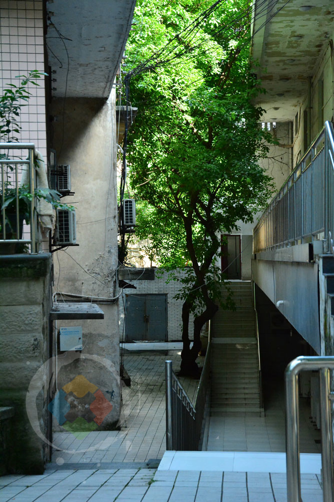 抬头能见轻轨，低头可以戏江水，快乐与危险并存的重庆大溪沟码头