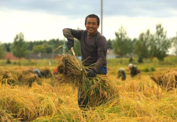 城里工资比农村高，为何大批农民工不愿再返城，选择留在农村？