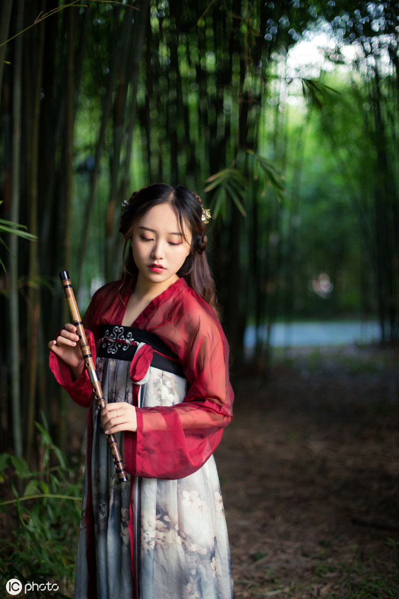 赞颂竹子的唯美诗句：新竹高于旧竹枝，全凭老干为扶持图片